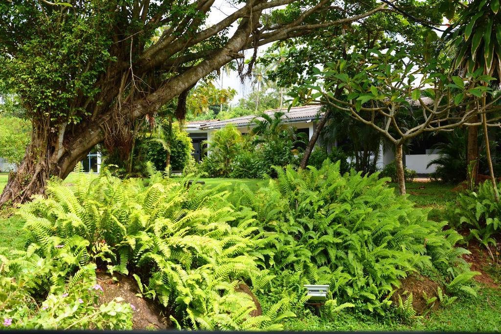 River View Banquet&Resort Wadduwa Exterior foto